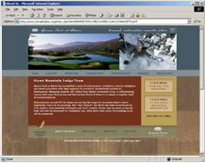 Website development - real estate development project