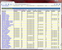 Competitive SEO Analysis Report