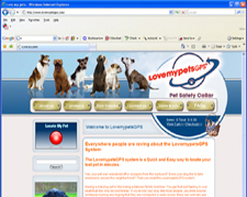 ecommerce system