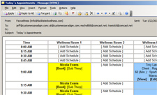 Automated email showing daily summary of all appointments scheduled online.