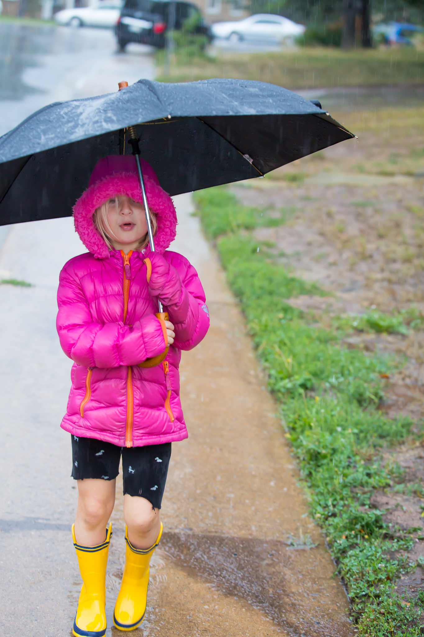 Photos of Boulder Flood - Sep 2013 | Customer Paradigm