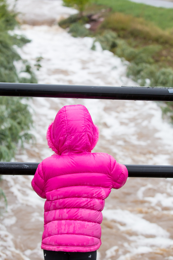 looking at the flooded creek in the middle of Table Mesa drive, during the floods in Boulder, Colorado.