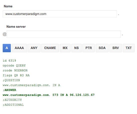 A record lookup for Customer Paradigm