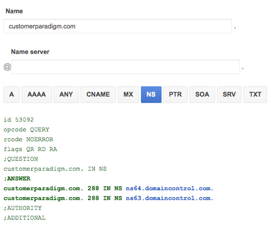 DNS Zone File for Customer Paradigm