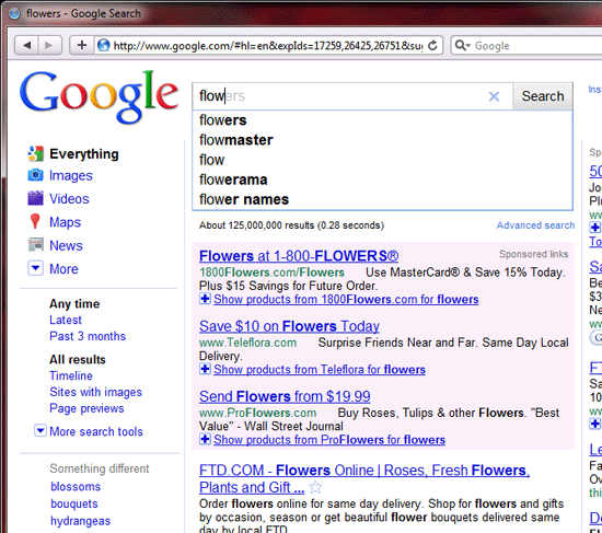 Google Instant Search Result - query is Flow