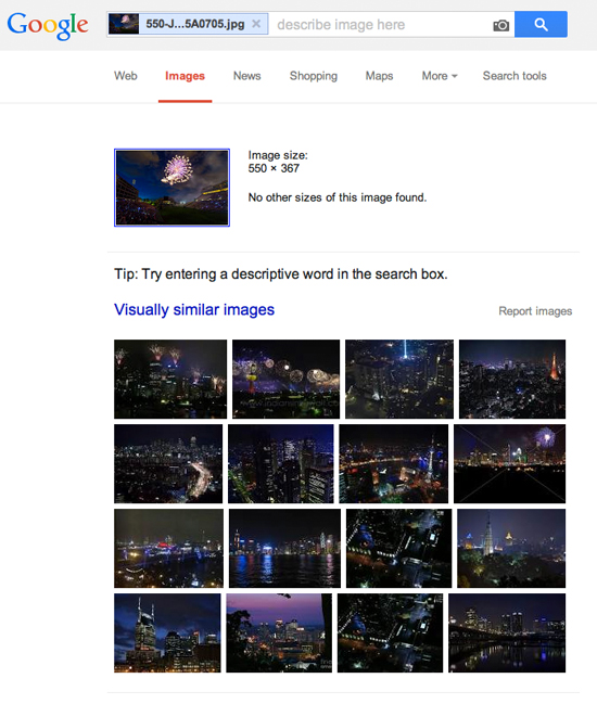 Google Finds Visually Similar Images