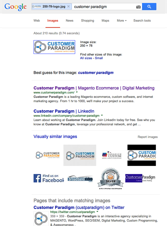 What Google Found when I uploaded my Customer Paradigm Logo