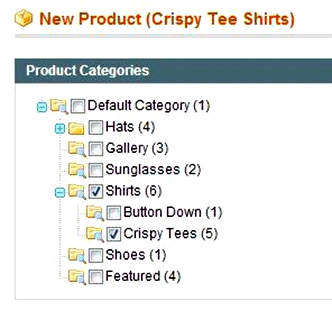 Magento - New Product Category