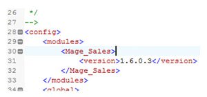 Magento Upgrade Programmer