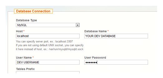 Magento Upgrade Programmer