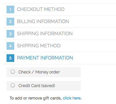 Payment Information Screen - Magento Default Checkout