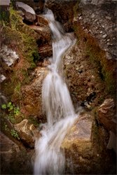 Search Engine Optimization Unique Selling Proposition