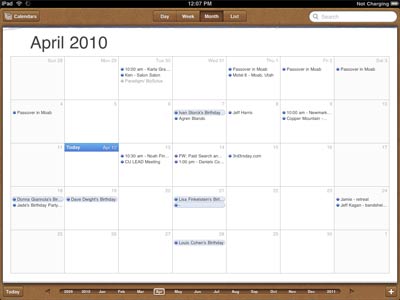 iPad - iCalendar screenshot