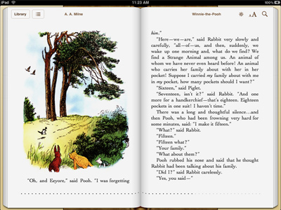 iPad - iBook viewer