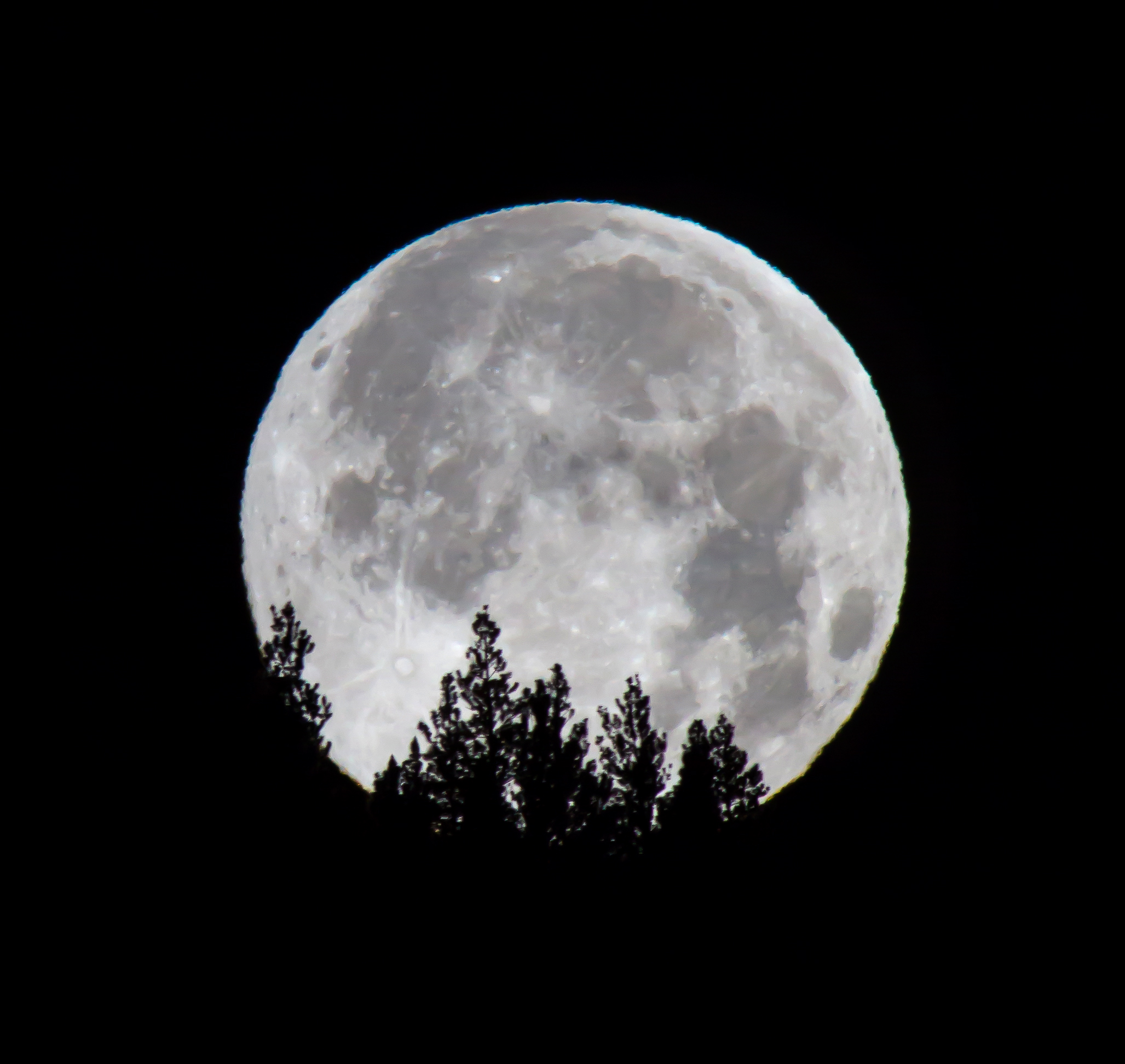 Fullmoon form