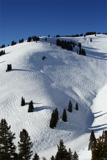 Back Bowls of Vail on a Blue Sunny Day