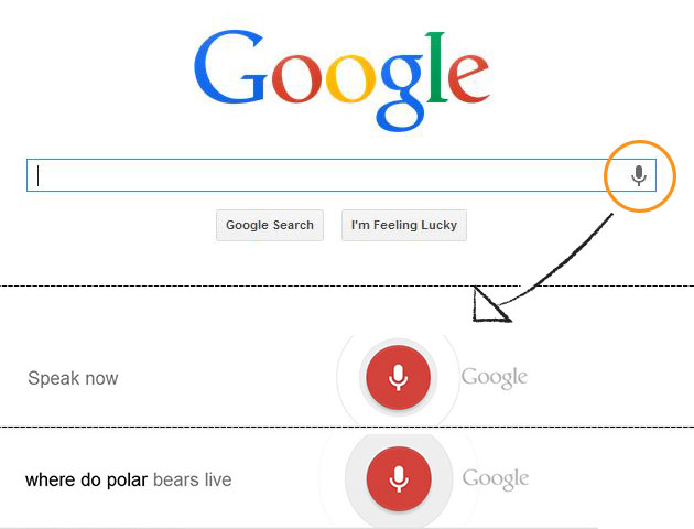 Google Voice Search Colorado SEO