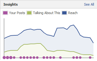 Graph of Facebook Insights