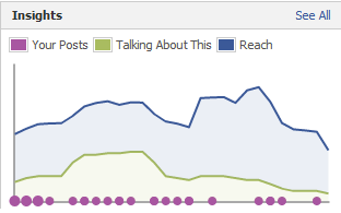 Facebook Insights