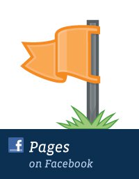 Facebook Page Goal as an Admin Facebook Page Goal as an Admin