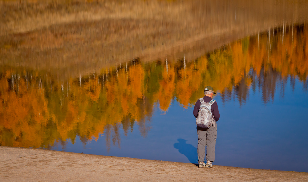 Rosh Hashanah Reflections