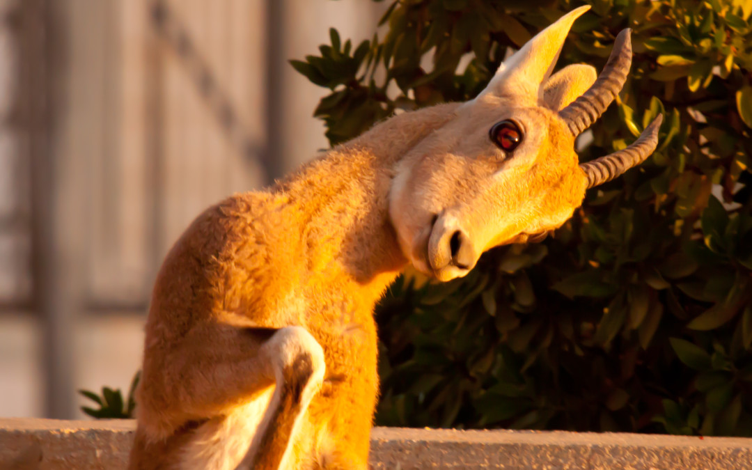 Travel Photography - What to Take on a 2.5 week trip