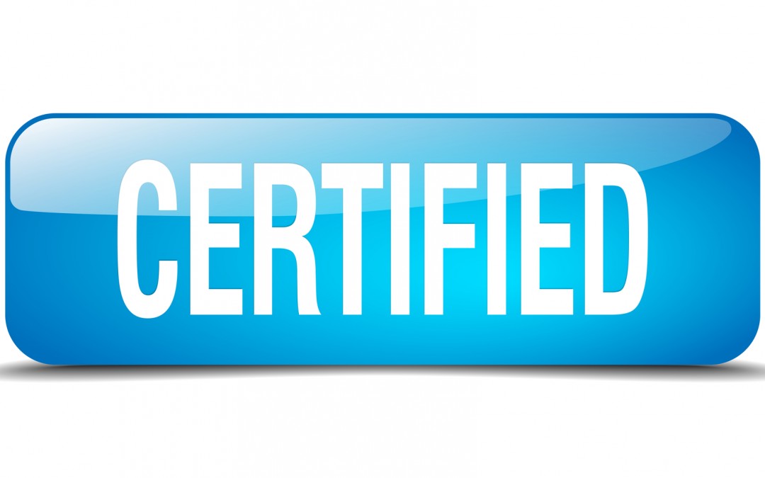 Another Magento Certified Developer on the Customer Paradigm team