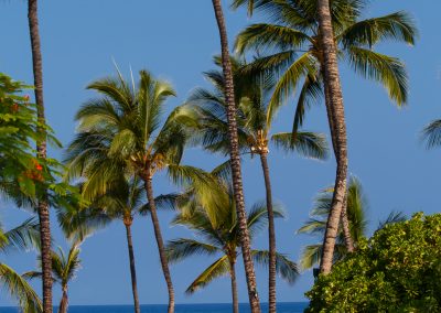 2048-Day-Six-Hawaii-6030