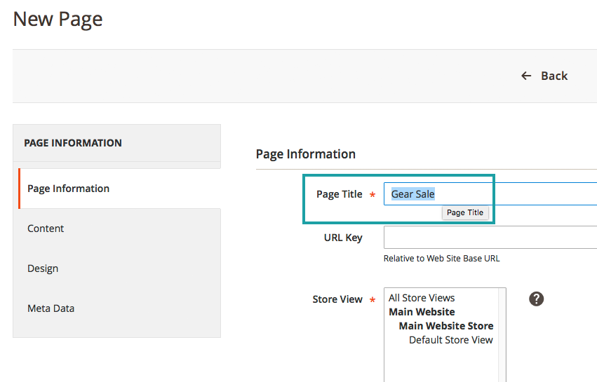 Step Four, add a page title