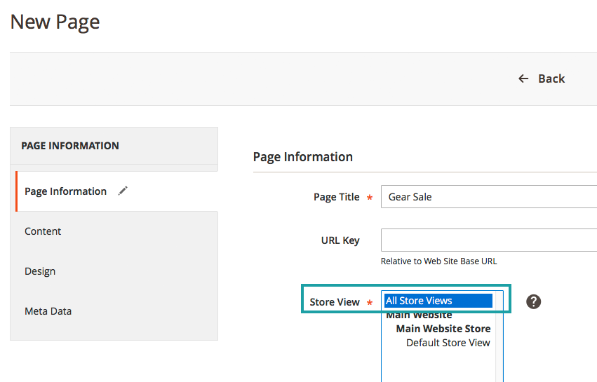 Step Five, set the "Store View"
