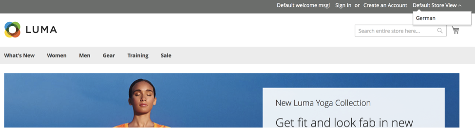 Example of Language Choice Dropdown Menu on Magento 2 Front End
