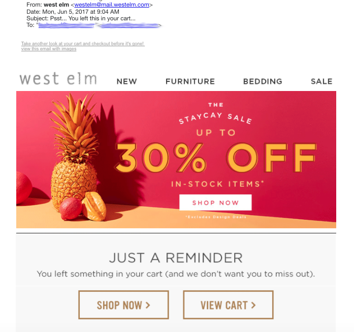 West Elm Abandoned Cart Subject Line Examples