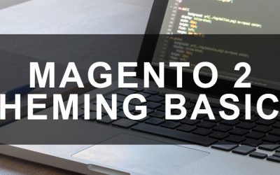 Magento 2 Theming Basics