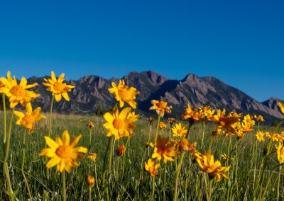 Customer Paradigm Photography - Boulder, Colorado  - Flatirons Vista Trail