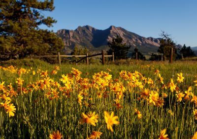 Customer Paradigm Photography - Boulder, Colorado  - Flatirons Vista Trail