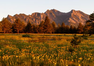 Customer Paradigm Photography - Boulder, Colorado  - Flatirons Vista Trail