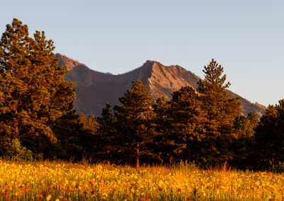 Customer Paradigm Photography - Boulder, Colorado  - Flatirons Vista Trail