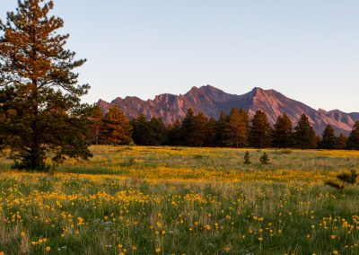 Customer Paradigm Photography - Boulder, Colorado  - Flatirons Vista Trail