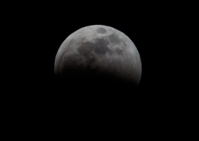 wolf-blood-super-moon-eclipse-7933