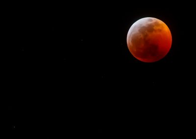 wolf-blood-super-moon-eclipse-8153