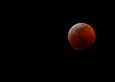 wolf-blood-super-moon-eclipse-8165