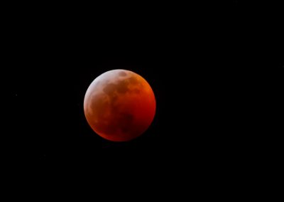 wolf-blood-super-moon-eclipse-8197