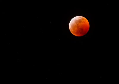 wolf-blood-super-moon-eclipse-8226