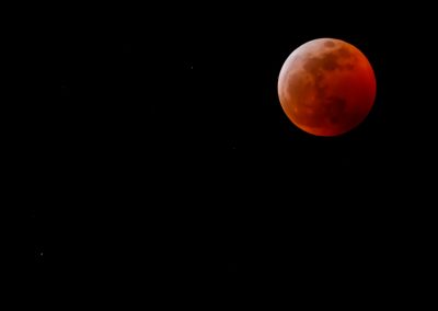 wolf-blood-super-moon-eclipse-8241