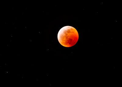 wolf-blood-super-moon-eclipse-8243