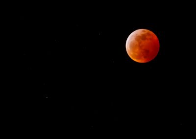 wolf-blood-super-moon-eclipse-8301