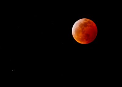 wolf-blood-super-moon-eclipse-8304