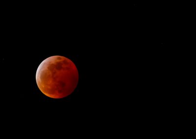 wolf-blood-super-moon-eclipse-8318