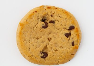 600-concept-chocolate-chip-cookie-on-white-background