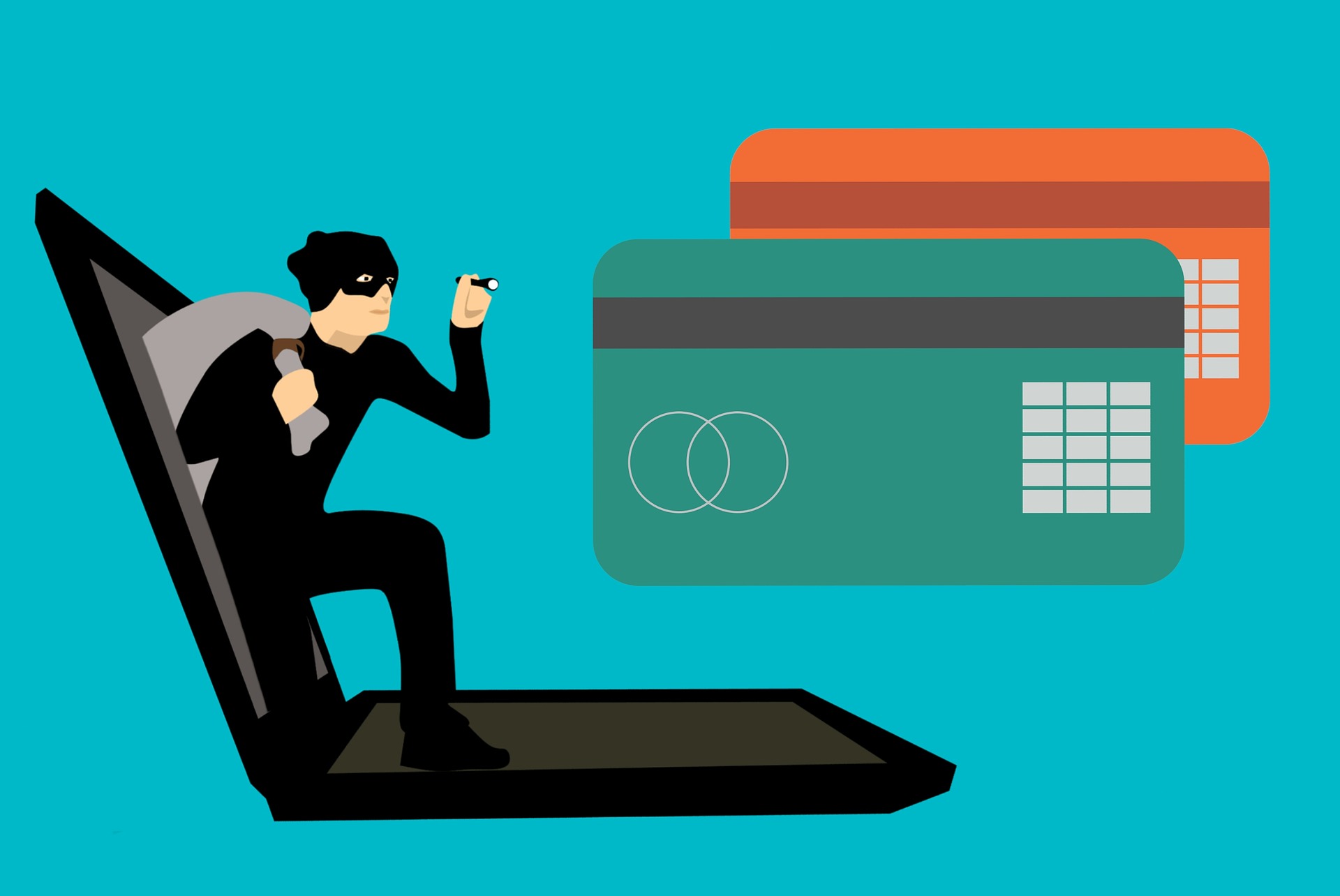Credit card fraud thief steals credit card info
